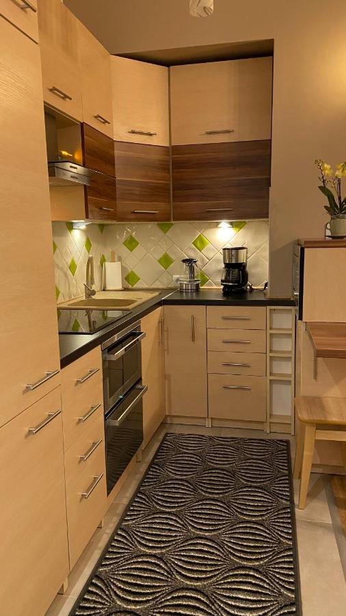 Lublinbnb - Exclusive Family Apartment ------ In The Heart Of Lublin -------------------------------- Bedroom & Living Room & Kitchen Εξωτερικό φωτογραφία